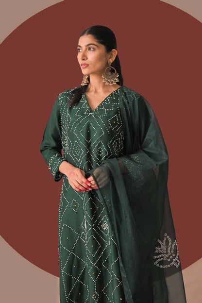 Nayika Vastra Suit Set