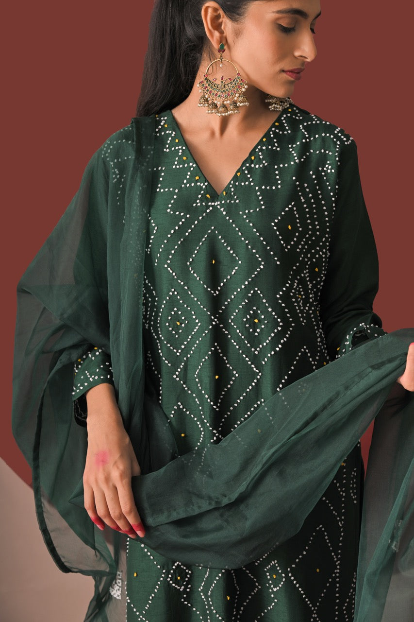Nayika Vastra Suit Set
